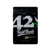 Gelato Auto fem (FastBuds), Америка